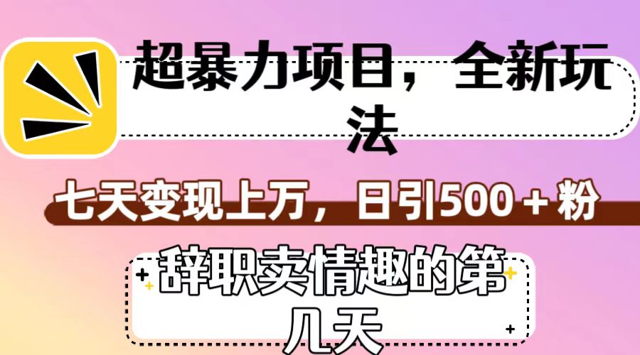 超暴利项目，全新玩法（辞职卖情趣的第几天），七天变现上万，日引500+粉-旺铺专家