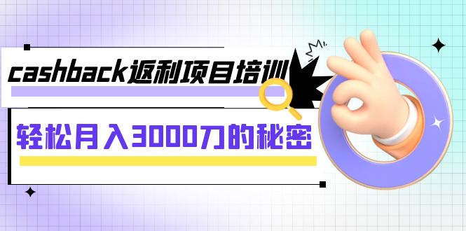 cashback返利项目培训：轻松月入3000刀的秘密（8节课）-旺铺专家