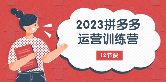 2023拼多多运营训练营：流量底层逻辑，免费+付费流量玩法（12节课）-旺铺专家