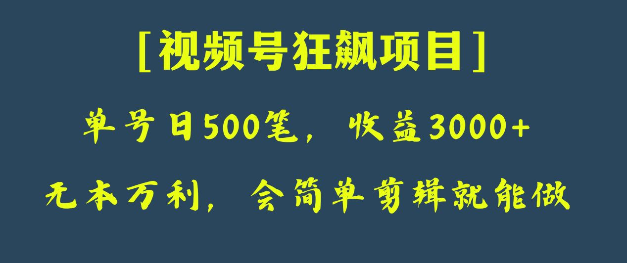 日收款500笔，纯利润3000+，视频号狂飙项目！-旺铺专家