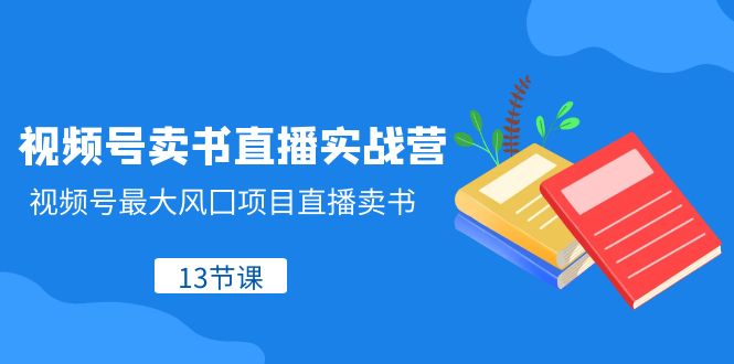 视频号卖书直播实战营，视频号最大风囗项目直播卖书（13节课）-旺铺专家