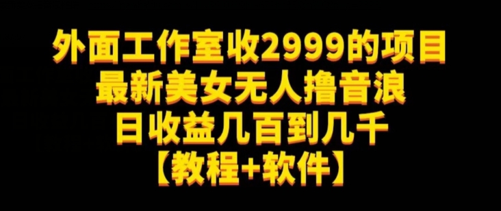 外面工作室收2999的项目最新美女无人撸音浪日收益几百到几千【教程+软件】（仅揭秘）-旺铺专家