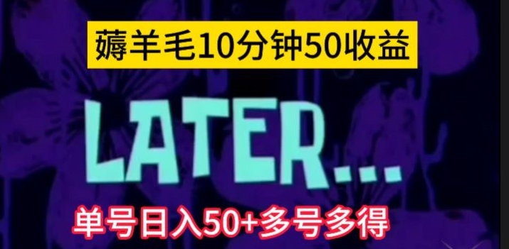 美团薅羊毛玩法，单号日入50+多号多得【仅揭秘】-旺铺专家