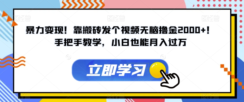 暴力变现！靠搬砖发个视频无脑撸金2000+！手把手教学，小白也能月入过万【揭秘】-旺铺专家