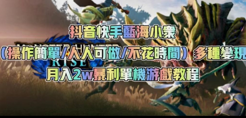 抖音快手蓝海小众（操作简单人人可做不花时间）多种变现月入2w＋暴利单机游戏教程-旺铺专家