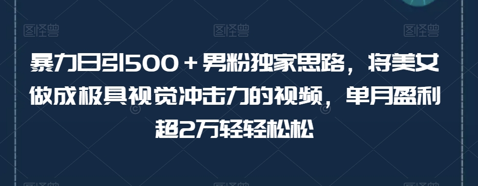 暴力日引500＋男粉独家思路，将美女做成极具视觉冲击力的视频，单月盈利超2万轻轻松松-旺铺专家