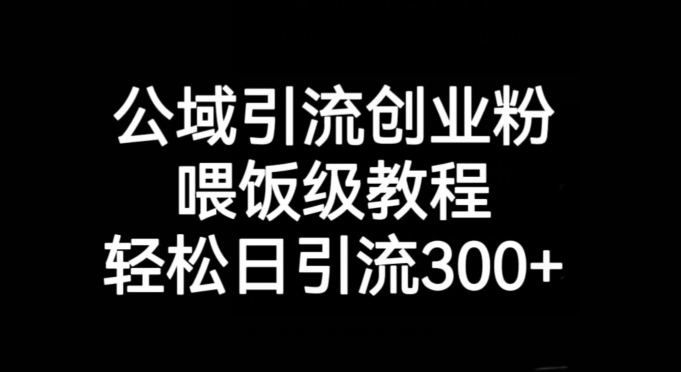 公域引流创业粉，喂饭级教程，轻松日引流300+【揭秘】-旺铺专家