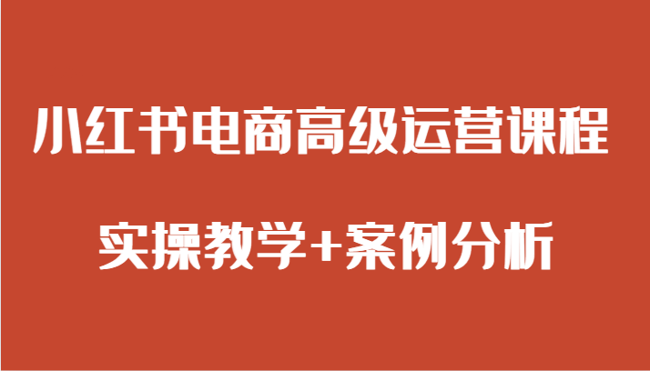 小红书电商高级运营课程 实操教学+案例分析-旺铺专家