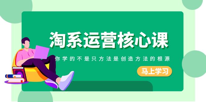 淘系运营核心课，你学的不只是方法而是创造方法的根源（190节课）-旺铺专家
