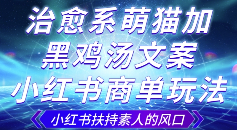 治愈系萌猫加+黑鸡汤文案，小红书商单玩法，3~10天涨到1000粉，一单200左右-旺铺专家