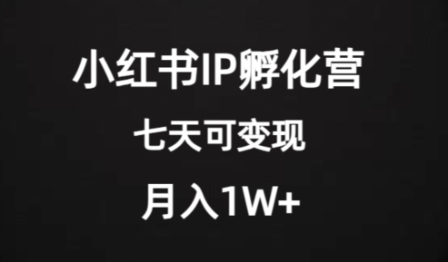 价值2000+的小红书IP孵化营项目，超级大蓝海，七天即可开始变现，稳定月入1W+-旺铺专家