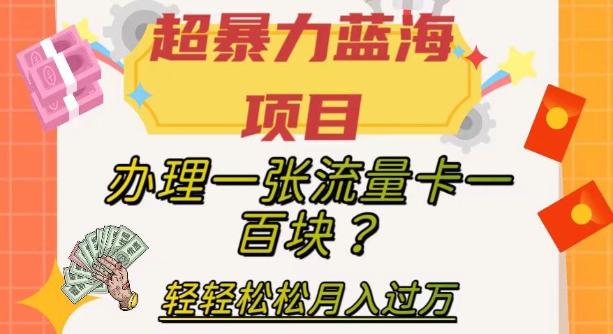 超暴力蓝海项目，办理一张流量卡一百块？轻轻松松月入过万，保姆级教程【揭秘】-旺铺专家