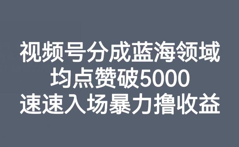 视频号分成蓝海领域，均点赞破5000，速速入场暴力撸收益-旺铺专家