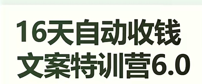 16天自动收钱文案特训营6.0，学会儿每天自动咔咔收钱-旺铺专家