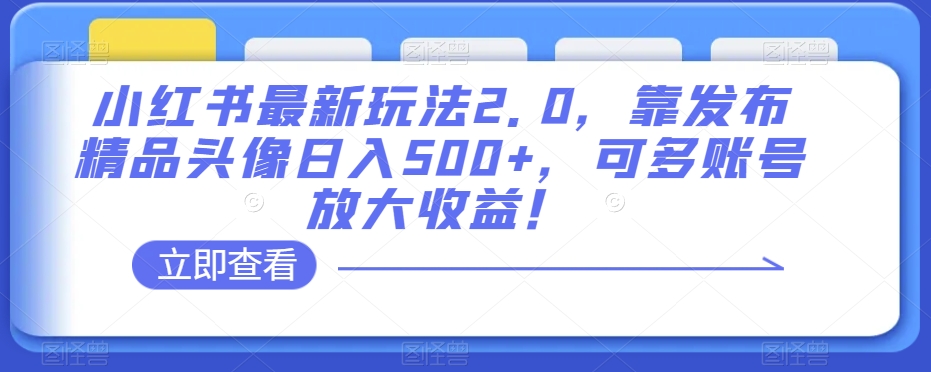 小红书最新玩法2.0，靠发布精品头像日入500+，可多账号放大收益！【揭秘】-旺铺专家