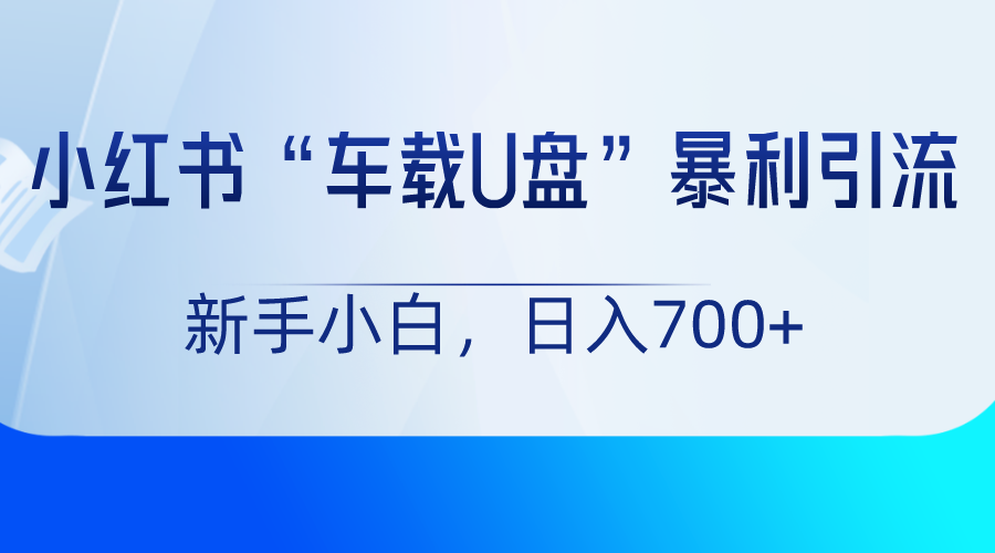 小红书“车载U盘”项目，暴利引流，新手小白轻松日入700+-旺铺专家