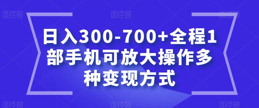 日入300-700+全程1部手机可放大操作多种变现方式【揭秘】-旺铺专家