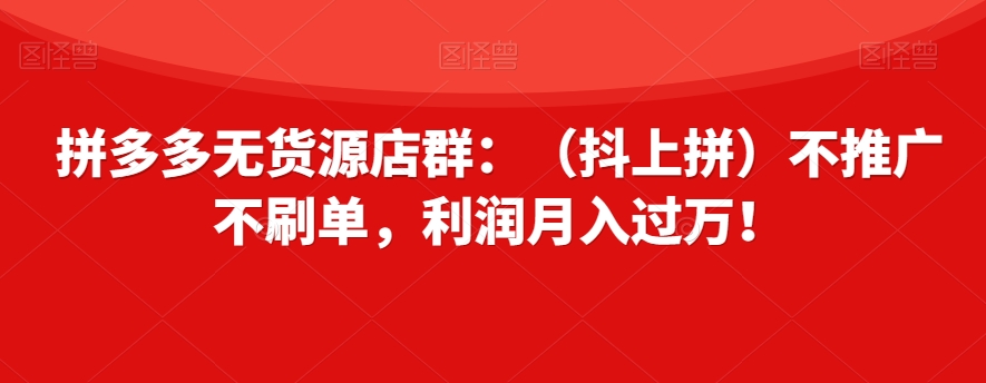 拼多多无货源店群：（抖上拼）不推广不刷单，利润月入过万！【揭秘】-旺铺专家