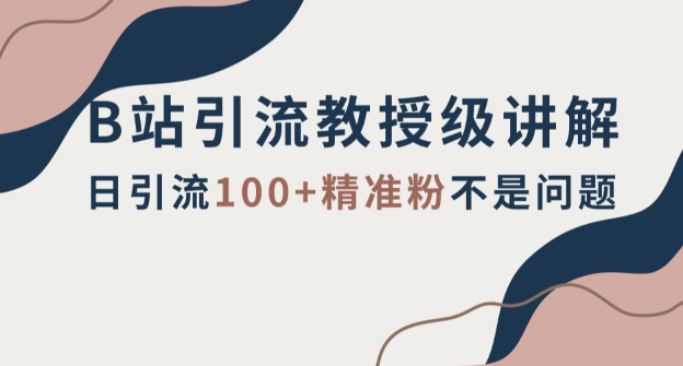 B站引流教授级讲解，细节满满，日引流100+精准粉不是问题【揭秘】-旺铺专家