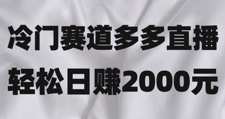 冷门赛道拼多多直播，简单念稿子，日收益2000＋【揭秘】-旺铺专家