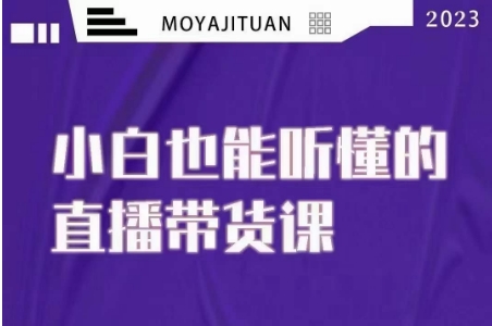 大威本威·能听懂的直播带货课，小白也能听懂，20节完整-旺铺专家