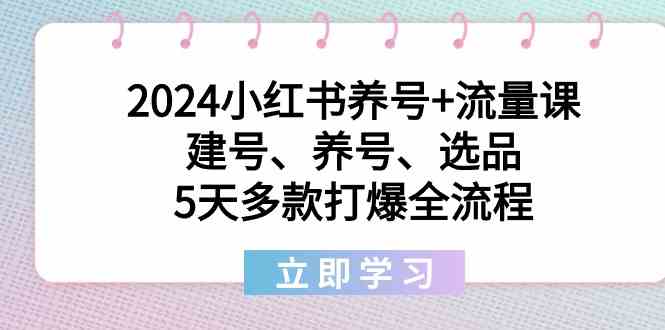 2024小红书养号+流量课：建号、养号、选品，5天多款打爆全流程-旺铺专家