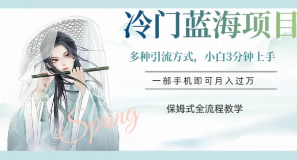 冷门蓝海项目，操作简单，小白3分钟上手，多种引流方式，保姆式全流程教学【揭秘】-旺铺专家