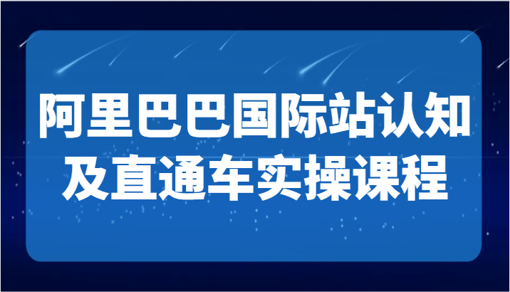阿里巴巴国际站认知及直通车实操课-国际地产逻辑、国际站运营定位、TOP商家运营思路-旺铺专家