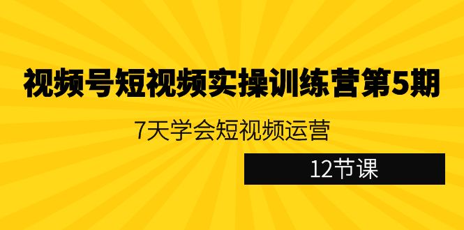 视频号短视频实操训练营第5期：7天学会短视频运营（12节课）-旺铺专家