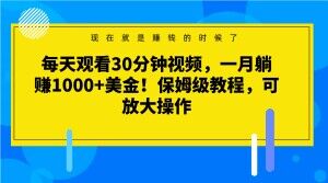 每天观看30分钟视频，一月躺赚1000+美金！保姆级教程，可放大操作【揭秘】-旺铺专家