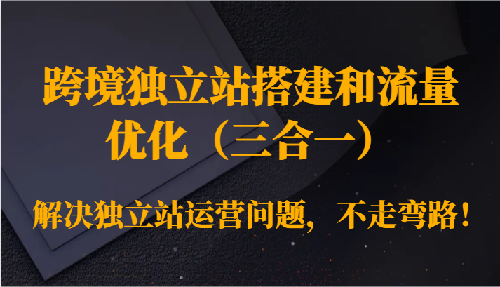 跨境独立站搭建和流量优化（三合一）解决独立站运营问题，不走弯路！-旺铺专家