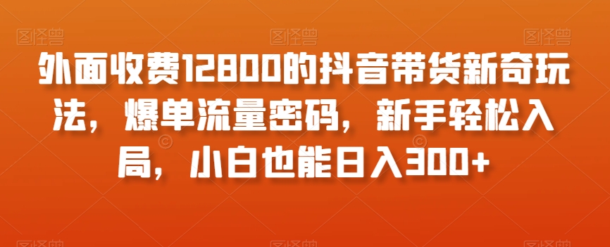 外面收费12800的抖音带货新奇玩法，爆单流量密码，新手轻松入局，小白也能日入300+【揭秘】-旺铺专家
