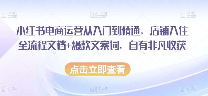 小红书电商运营从入门到精通，店铺入住全流程文档+爆款文案词，自有非凡收获-旺铺专家