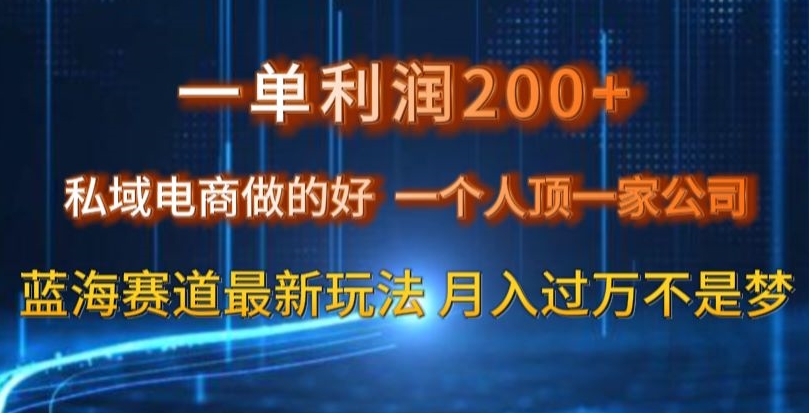 一单利润200私域电商做的好，一个人顶一家公司蓝海赛道最新玩法【揭秘】-旺铺专家