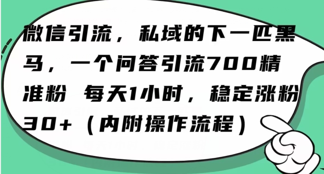 怎么搞精准创业粉？微信新赛道，每天一小时，利用Ai一个问答日引100精准粉-旺铺专家