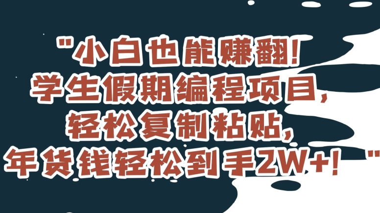 小白也能赚翻！学生假期编程项目，轻松复制粘贴，年货钱轻松到手2W+【揭秘】-旺铺专家