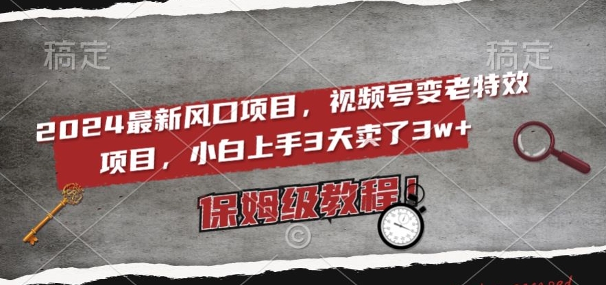 2024最新风口项目，视频号变老特效项目，电脑小白上手3天卖了3w+，保姆级教程【揭秘】-旺铺专家