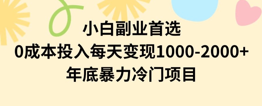 小白副业首选，0成本投入，每天变现1000-2000年底暴力冷门项目【揭秘】-旺铺专家