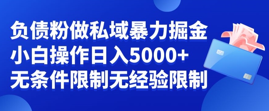 负债粉私域暴力掘金，小白操作入5000，无经验限制，无条件限制-旺铺专家