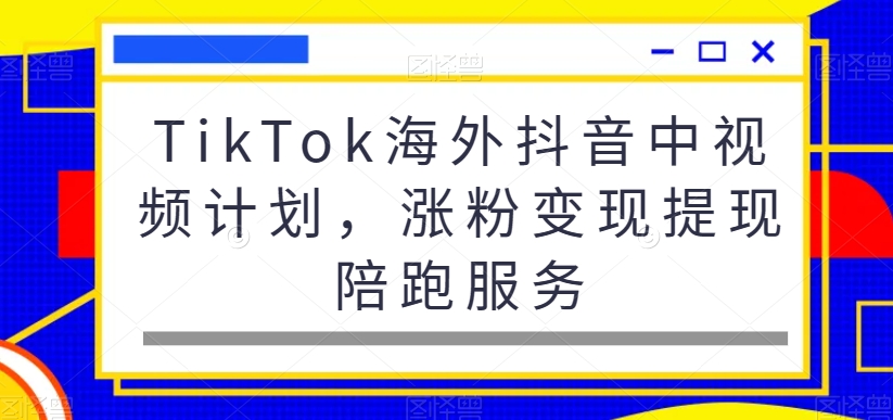 TikTok海外抖音中视频计划，涨粉变现提现陪跑服务-旺铺专家