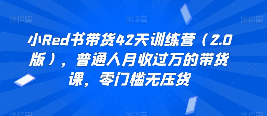 小Red书带货42天训练营（2.0版），普通人月收过万的带货课，零门槛无压货-旺铺专家