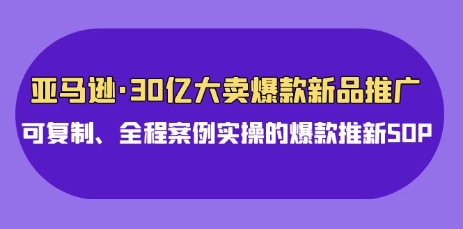 亚马逊30亿大卖爆款新品推广，可复制、全程案例实操的爆款推新SOP-旺铺专家