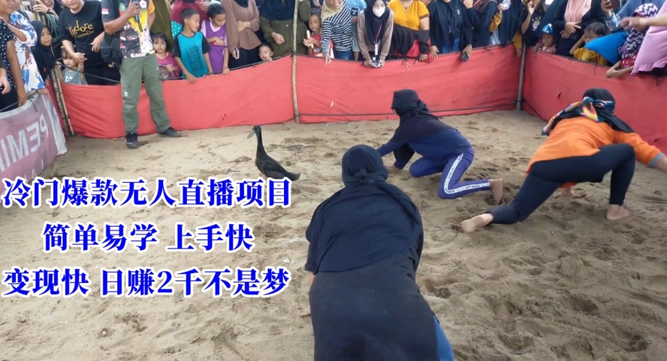 冷门爆款无人直播项目，简单易学上手快，变现快日赚2千不是梦-旺铺专家