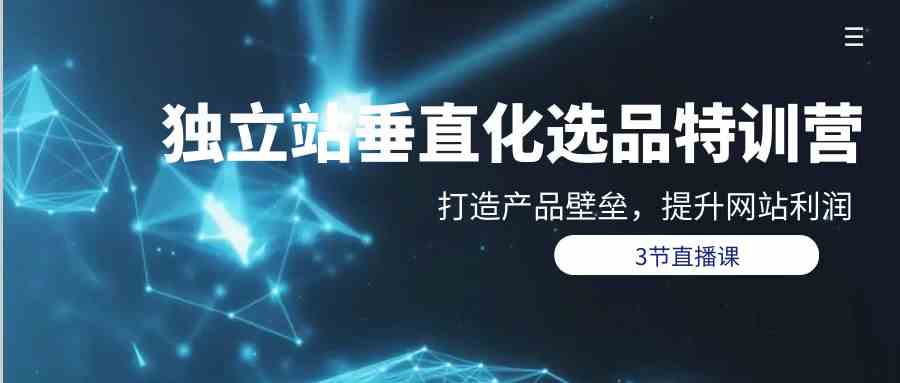 独立站垂直化选品训练营，打造产品壁垒，提升网站利润（3节直播课）-旺铺专家