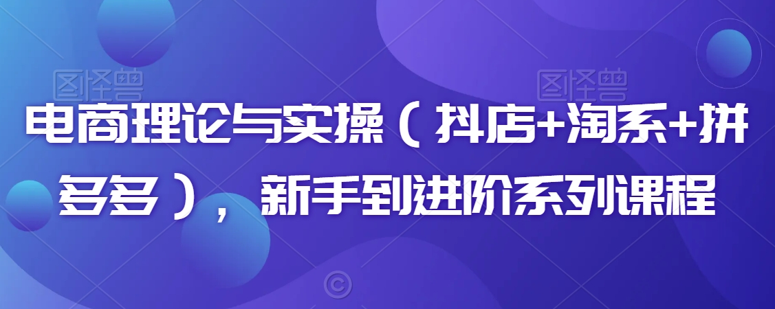 电商理论与实操（抖店+淘系+拼多多），新手到进阶系列课程-旺铺专家