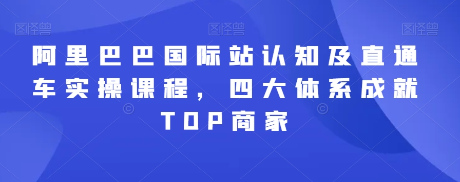 阿里巴巴国际站认知及直通车实操课程，四大体系成就TOP商家-旺铺专家