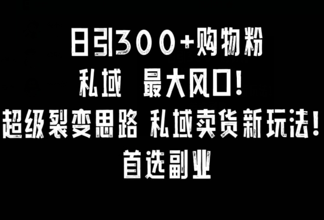 日引300+购物粉，超级裂变思路，私域卖货新玩法，小红书首选副业-旺铺专家