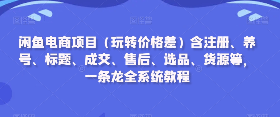 闲鱼电商项目（玩转价格差）含注册、养号、标题、成交、售后、选品、货源等，一条龙全系统教程-旺铺专家