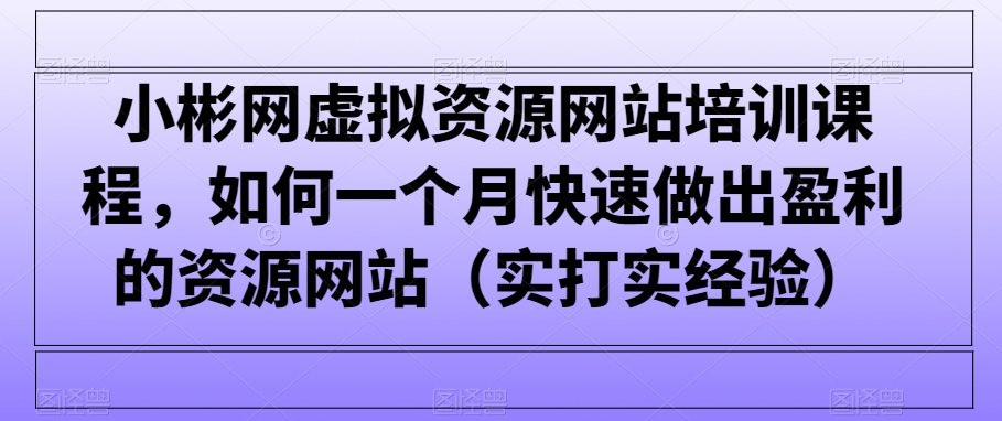小彬网虚拟资源网站培训课程，如何一个月快速做出盈利的资源网站（实打实经验）-旺铺专家