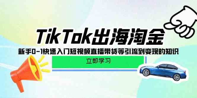 TikTok出海淘金，新手0-1快速入门短视频直播带货等引流到变现的知识-旺铺专家
